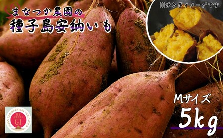 【  新物 ・ 発送中 】種子島 まなつか農園 安納いも ( 生いも ) M サイズ 5kg　NFN001【300pt】 