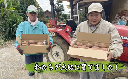 【  新物 ・ 発送中 】種子島 まなつか農園 安納いも ( 生いも ) M サイズ 5kg　NFN001【300pt】 