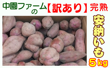 中園ファーム の 【訳あり】 完熟 安納いも 5kg NFN401 【200pt】