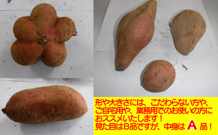 中園ファーム の 【訳あり】 完熟 安納いも 5kg NFN401 【200pt】