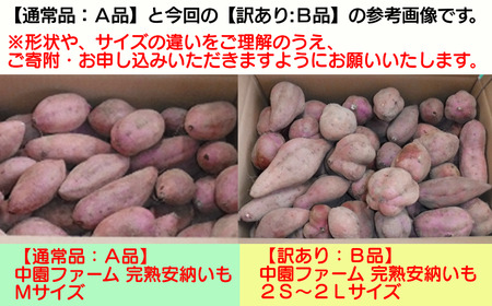 中園ファーム の 【訳あり】 完熟 安納いも 5kg NFN401 【200pt】