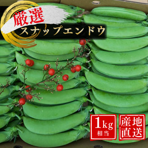 ＼ 先行予約／ 厳選 こだわり の スナップエンドウ 1kg 相当 種子島産 産地直送 旬　NFN551【300pt】