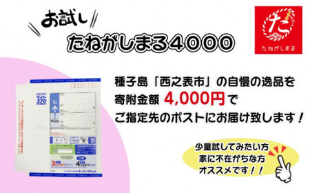 【たねがしまる4000】 種子島 りんかけ堂 豆まめ セット おみそ豆 衛星 りんかけ 　NFN906【100pt】 