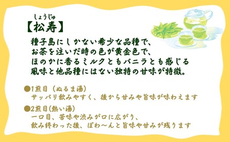 種子島 射場貴大 茶園 「松寿」 「極上」 オリジナル 茶 セット NFN570【250pt】