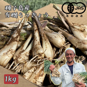 たねがしま らっきょう 誠農園 ( 種子島 有機 JAS 根つき 生らっきょう) 1kg　NFN583【250pt】 