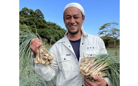 たねがしま らっきょう 誠農園 ( 種子島 有機 JAS 根つき 生らっきょう) 1kg　NFN583【250pt】 