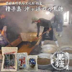 種子島 伝統 沖ヶ浜田 黒糖 登録無形民俗文化財 食べやすい 小粒 黒糖 詰め合わせ　NFN578【300pt】 