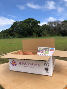 種子島 産 オーガニック (有機) 種子島安納いも (誠農園) ３kg　NFN599 【250pt】