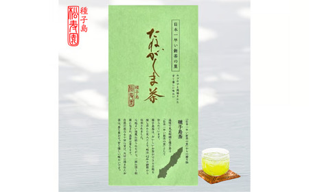 【 先行予約 】 種子島 松寿園 特選 たねがしま茶 1袋　NFN614【150pt】 // 新茶 緑茶 9,000円