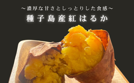 石蔵熟成 安納芋 ＆ 紅はるか 冷凍 焼いも 計2kg NFN558 【375pt】