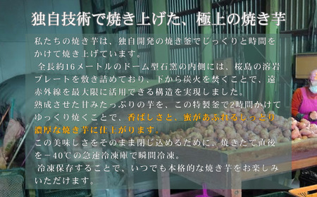 石蔵熟成 安納芋 ＆ 紅はるか 冷凍 焼いも 計2kg NFN558 【375pt】