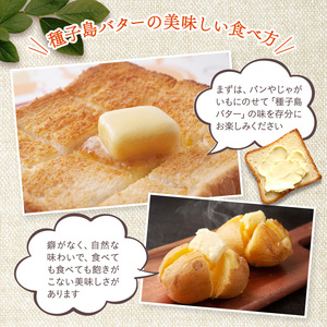 種子島 バター 200g × 8箱 NFN622 【450pt】