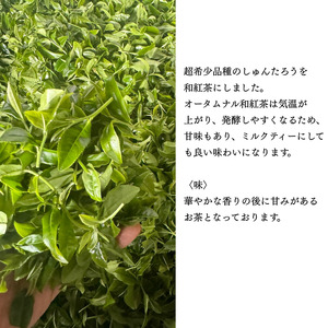 【たねがしまる4000】希少品種 しゅんたろう 和紅茶 （ティーパック）　NFN940【100pt】