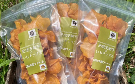 種子島 中園ファーム 熟成 安納芋 の 黄金 塩 チップス 50g×5袋