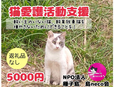 【返礼品なし】猫愛護活動支援 NFN639 【125PT】// 特定非営利活動法人　種子島 島neco会