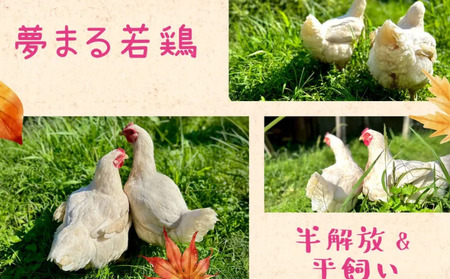 種子島 夢まるガーデン 若鶏 1羽分 NFN636 【600pt】// クリスマス用 ローストチキン 骨付きチキン