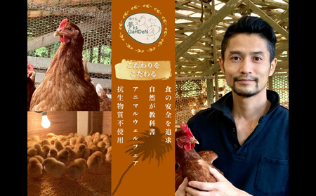 種子島 夢まるガーデン 若鶏 1羽分 NFN636 【600pt】// クリスマス用 ローストチキン 骨付きチキン