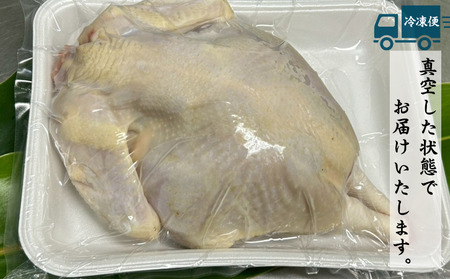 種子島 夢まるガーデン 若鶏 1羽分 NFN636 【600pt】// クリスマス用 ローストチキン 骨付きチキン