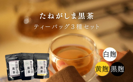 たねがしま 黒茶 ティーバッグ 3種  （黒麹・白麹・黄麹) NFN666【150pt】// ティーバッグ フルーティー オーガニック ファスナー袋