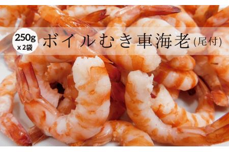 種子島 産 ボイル むき 車えび （250g×2袋）　NFN109 【425pt】// 種子島 プリプリ 車えび 車海老 えび エビ 海老  種子島 車えび 車海老 えび エビ 海老 種子島 車えび 車海老 えび エビ 海老 種子島 車えび 車海老 えび エビ 海老 種子島 車えび 車海老 えび エビ 海老 種子島 車えび 車海老 えび エビ 海老 種子島 車えび 車海老 えび エビ 海老 種子島 車えび 車海老 えび エビ 海老 種子島 車えび 車海老 えび エビ 海老 種子島 車えび 車海老 えび エビ 海老 種子島 車えび 車海老 えび エビ 海老 種子島 車えび 車海老 えび エビ 海老 種子島 車えび 車海老 えび エビ 海老 種子島 車えび 車海老 えび エビ 海老 種子島 車えび 車海老 えび エビ 海老 種子島 車えび 車海老 えび エビ 海老 種子島 車えび 車海老 えび エビ 海老