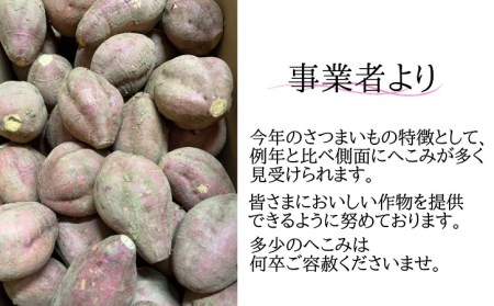 中園ファーム 種子島 安納いも ( 生芋 ) M,Lサイズ 10kg　NFN456【550pt】 