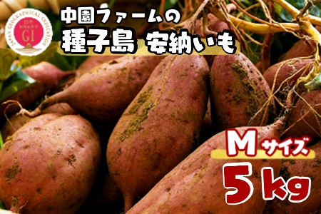 種子島 中園ファーム 安納いも ( 生芋 ) M サイズ 5kg　NFN057【300pt】