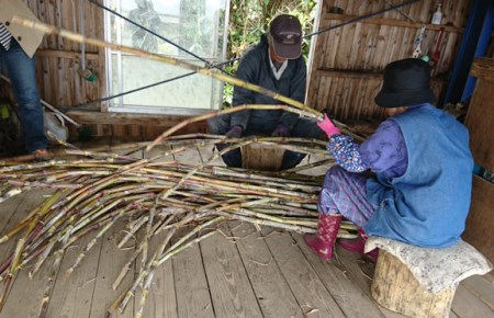 種子島 伝統 製法 無形文化財 沖ヶ浜田 黒糖 セット NFN147【300pt】