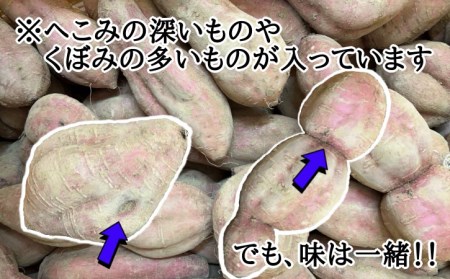 訳あり 中園ファーム 種子島 安納いも ( 生芋 ) 10kg　NFN459【300pt】