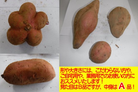 訳あり 中園ファーム 種子島 安納いも ( 生芋 ) 10kg　NFN459【300pt】