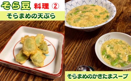  【先行予約】種子島 早春 そらまめ 農園のむさん 2kg　NFN299【350pt】