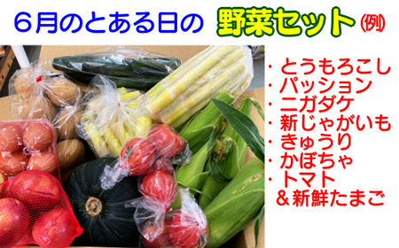 【３か月 定期便 】 種子島 の新鮮 野菜 と 果物 ７～１０品 と 鶏卵 セット　NFN475 【975pt】 