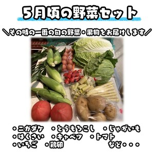 【３か月 定期便 】 種子島 の新鮮 野菜 と 果物 ７～１０品 と 鶏卵 セット　NFN475 【975pt】 