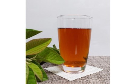 種子島 ばんじろう 茶 ( グァバ 茶) ティーバッグ 3袋　NFN468【300pt】