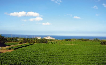 種子島 中村屋 塩ゆで 落花生 300g ×10袋 NFN464【700pt】 | 鹿児島県西之表市 | ふるさと納税サイト「ふるなび」