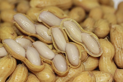 <令和7年産>種子島 中村屋 塩ゆで 落花生 300g ×10袋 NFN464【700pt】