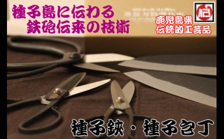 種子島 伝統工芸 種子 鋏 (たねばさみ) ５寸 黒仕上 木箱入　NFN160【800pt】