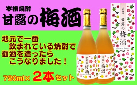 髙﨑酒造 種子島 焼酎 甘露 の 梅酒 720ml ×2本　NFN158【300pt】