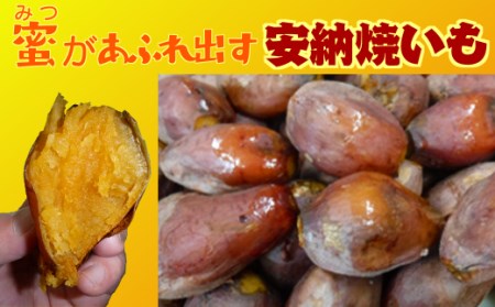 種子島 中園ファーム 熟成 焼き 安納芋 (冷凍) 400g ×8袋　NFN062【375pt】 