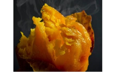 種子島 安納 中園ファーム 熟成 焼き安納芋 (冷凍) 400g ×6袋 NFN470 【300pt】