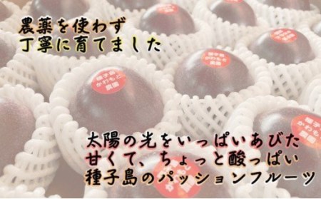 【 6月下旬～8月初旬 先行予約 】種子島 かわもと農園 パッションフルーツ サマークイーン (20個) 　NFN438【450pt】 