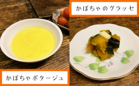 【 先行予約 】 種子島 産 完熟 かぼちゃ ( えびす南瓜 ) 4玉　NFN495 【300pt】 