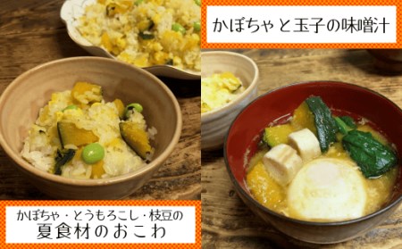 【 先行予約 】 種子島 産 完熟 かぼちゃ ( えびす南瓜 ) 4玉　NFN495 【300pt】 