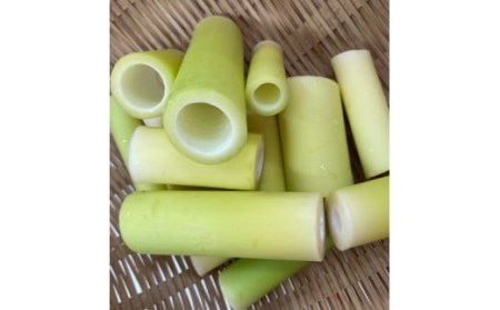 【 先行予約 】 種子島 産 ニガダケ (根本部分のみ) 4kg NFN499【250pt】