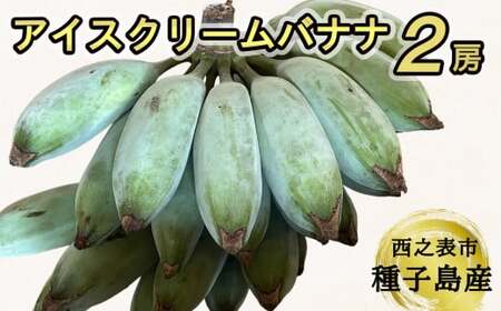 種子島 産 園田バナナ園 アイスクリームバナナ ( 島バナナ ) 2房 NFN493【450pt】