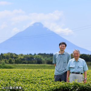 A1-22501／かごんま緑茶 280ml×48本 ペットボトル 鹿児島 知覧茶葉 使用 天然アルカリ温泉水 財寶温泉 抽出