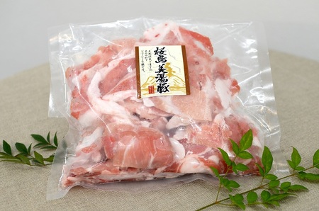 B2-0405/鹿児島県産 黒豚 桜島美湯豚 コマ 切り落とし 5kg (500g×10パック)