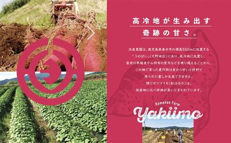 A1-5424/つらさげ芋の溶岩焼き芋 300g×5パック