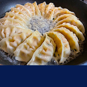 A1-0420/鹿児島県産桜島美湯豚 一口餃子 160個(20個×8パック)