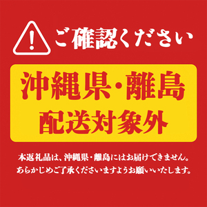 W-22191/財寶温泉 レモン水 500ml×24本