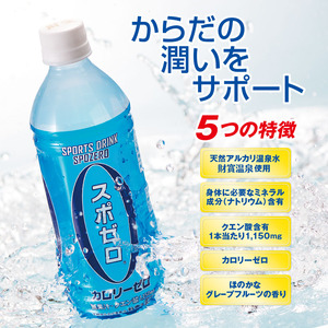 D4-2261/【3回定期】 財寶温泉 スポーツドリンク ペットボトル 500ml×48本